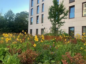 The Unique Gartenansicht
